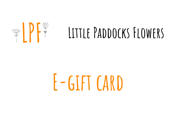 E-Gift Card