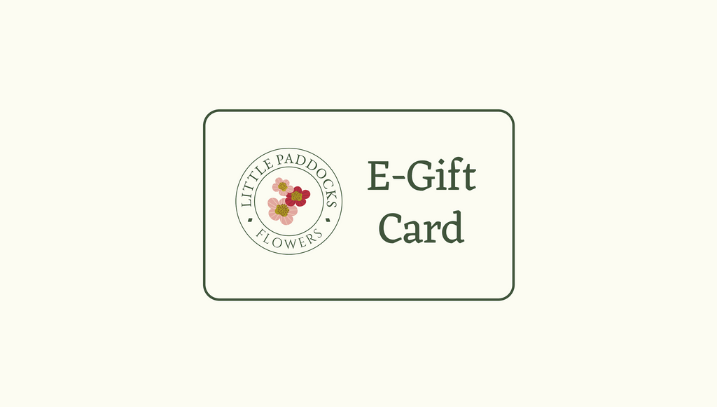 E-Gift Card