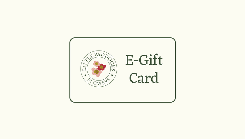 E-Gift Card