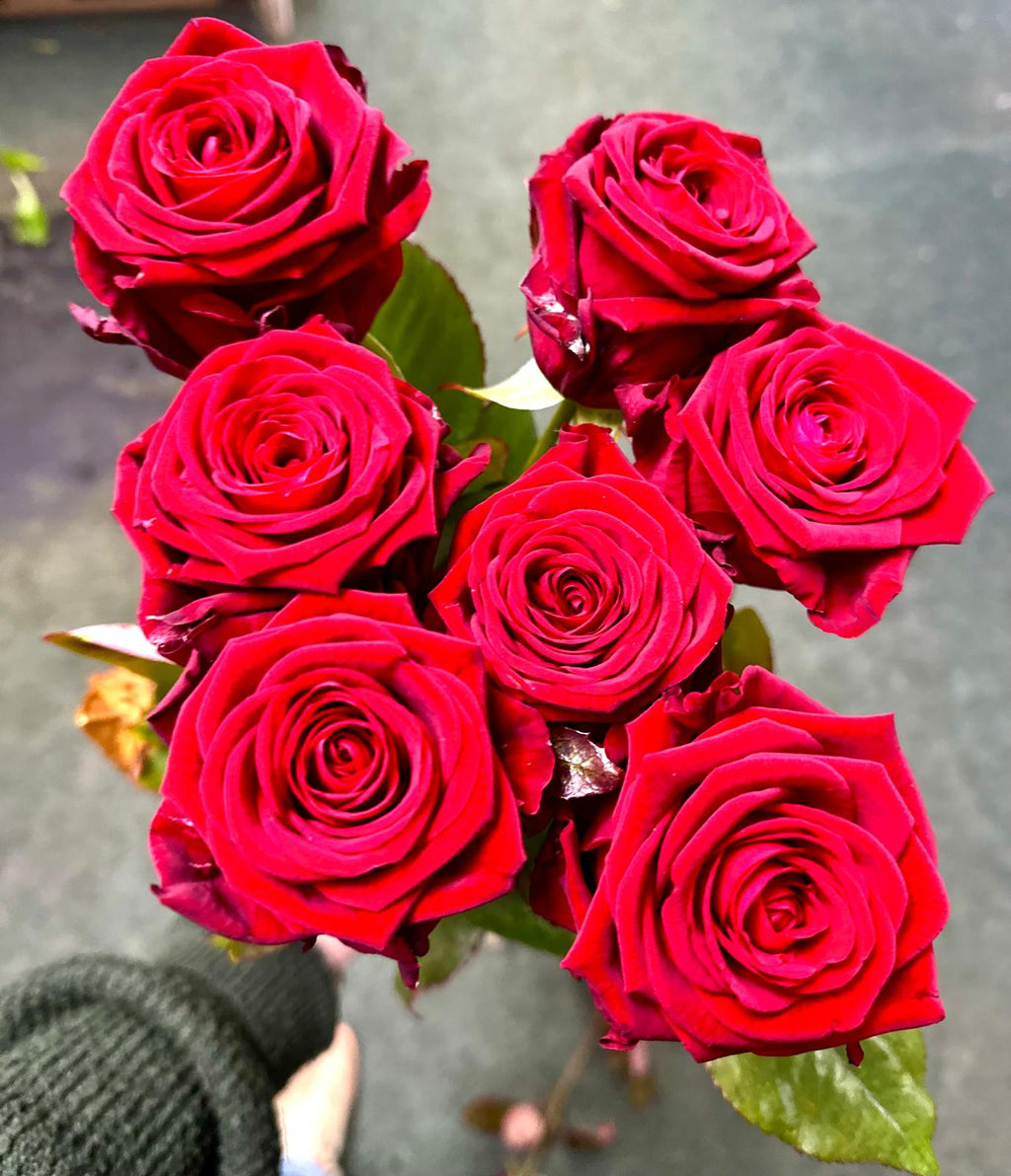 "Vision of Love" - 12 or 6 Red Roses
